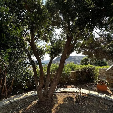 וילה Dolce Vita In Mykons - Swimming Pool Panormos